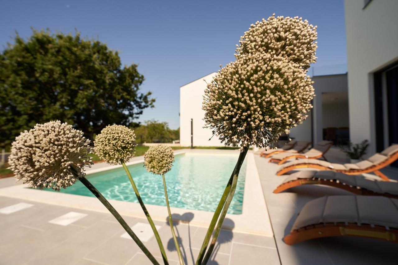 Villa Martin Noel Porec Ngoại thất bức ảnh